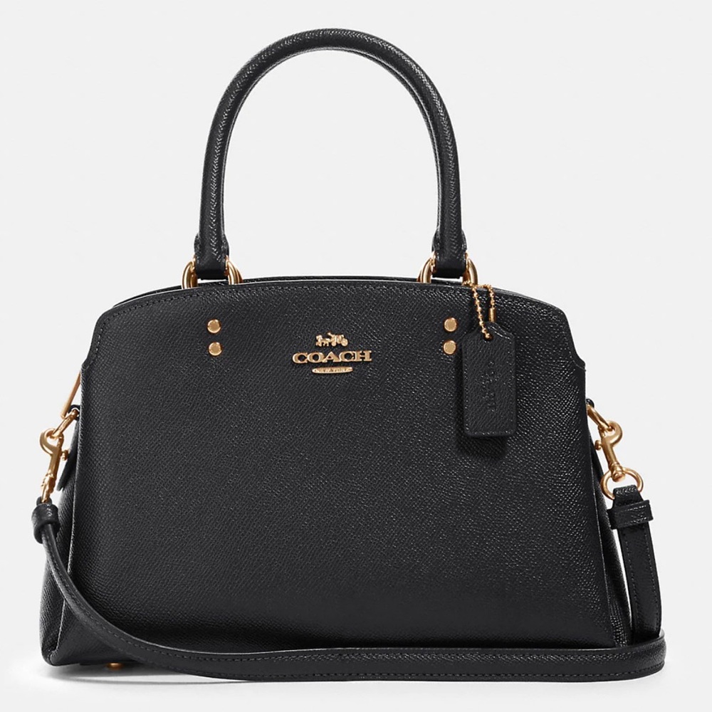 NWT Coach Mini Carryall